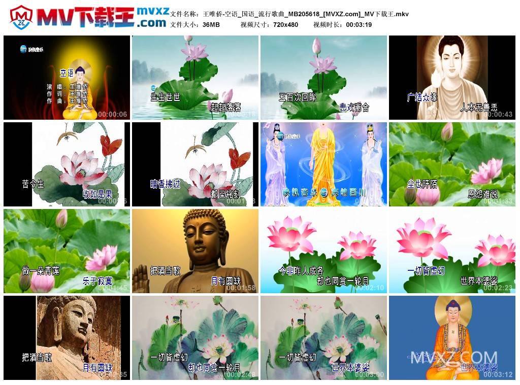 王唯侨-空语_国语_流行歌曲_MB205618